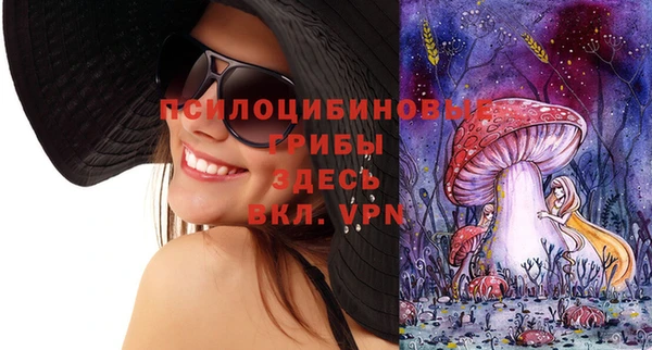 mdpv Вяземский