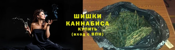 mdpv Вяземский