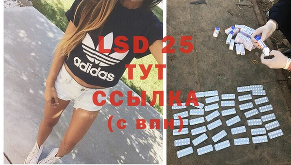 mdpv Вяземский