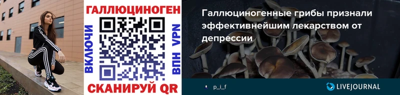 Купить  Кузнецк  Псилоцибиновые грибы прущие грибы 